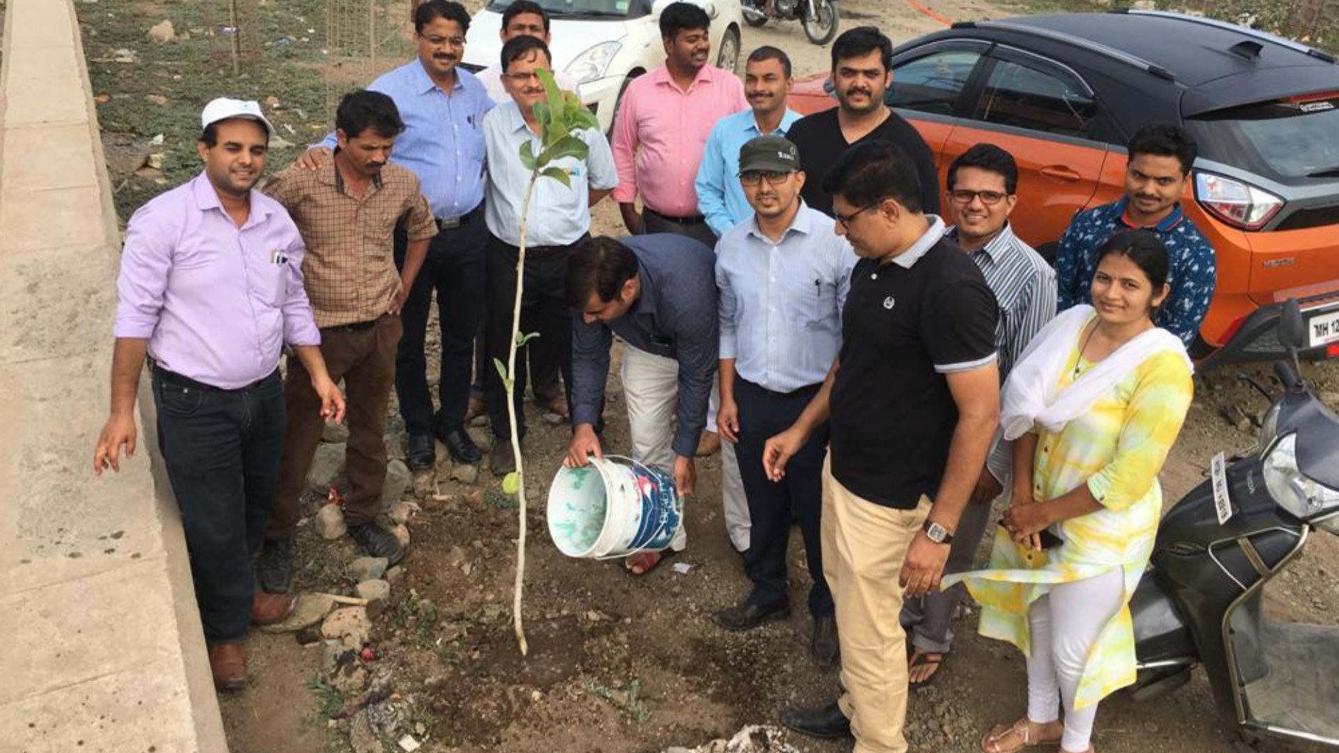 Tree Plantation Drive